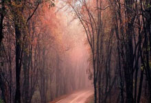 非凡娱乐官网：马洛塔：我们三条战线齐头并进，我们的确没有得到足够的认可.