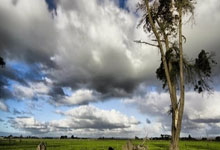 非凡娱乐官网：曝周琦已做完眼角膜手术 4年前出现视网膜裂孔.