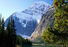 非凡娱乐官网：速滑四大洲锦标赛：中国队夺得女子团体追逐金牌新华网.